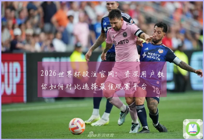 2026世界杯投注官网：资深用户教你如何对比选择最佳观赛平台