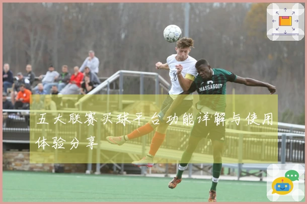 五大联赛买球平台功能详解与使用体验分享
