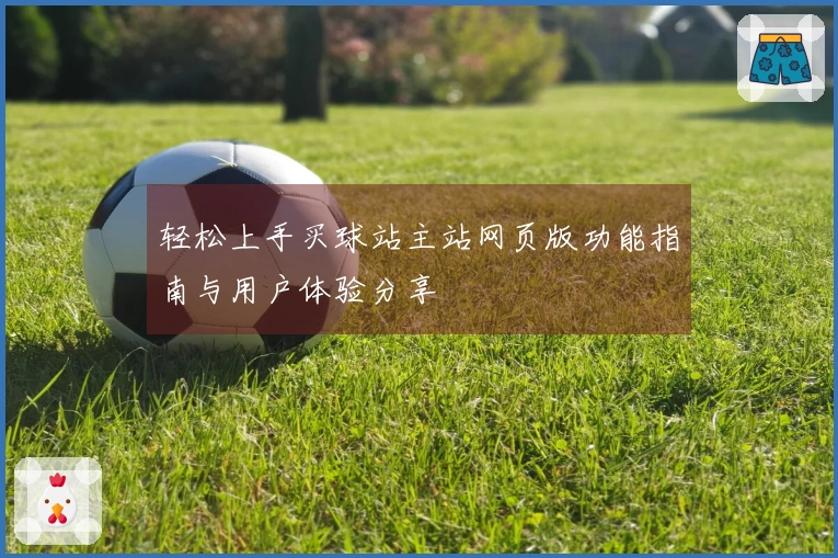 轻松上手买球站主站网页版功能指南与用户体验分享